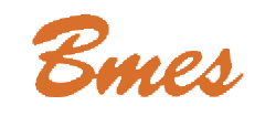Bmes Ayakkabı
